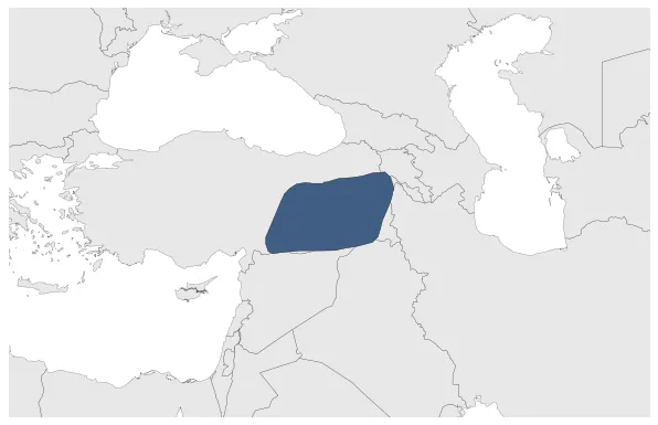 Maximum Extent