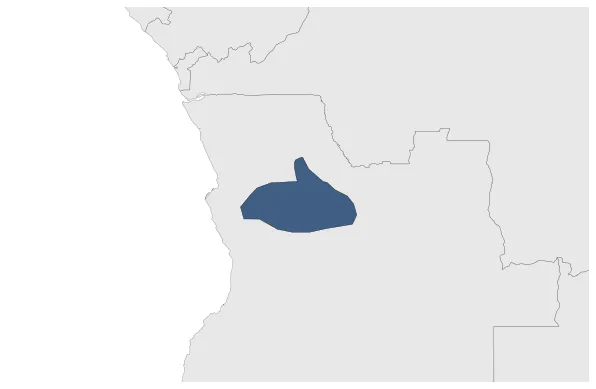 Maximum Extent