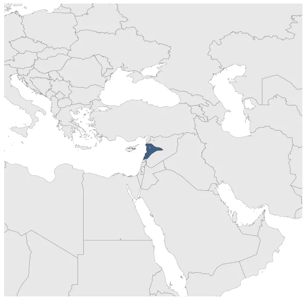 Maximum Extent