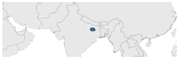 Maximum Extent