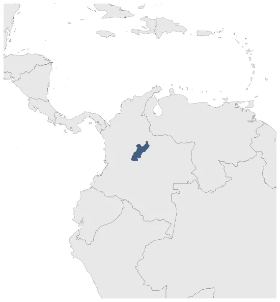 Maximum Extent