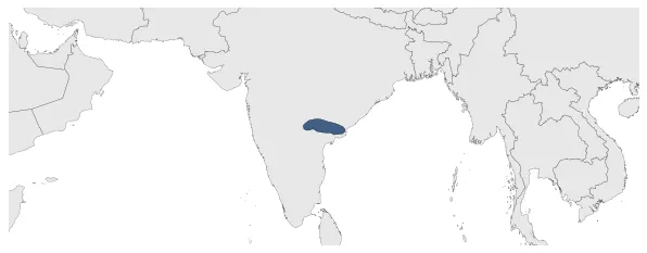 Maximum Extent