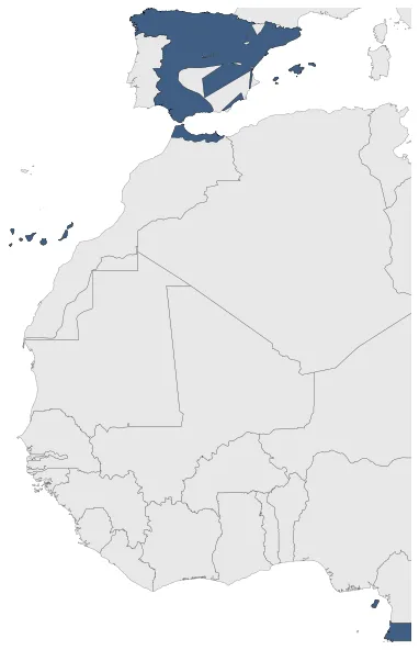 Maximum Extent