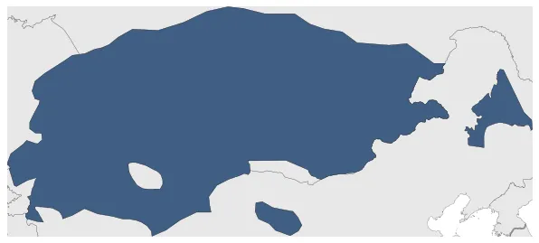 Maximum Extent
