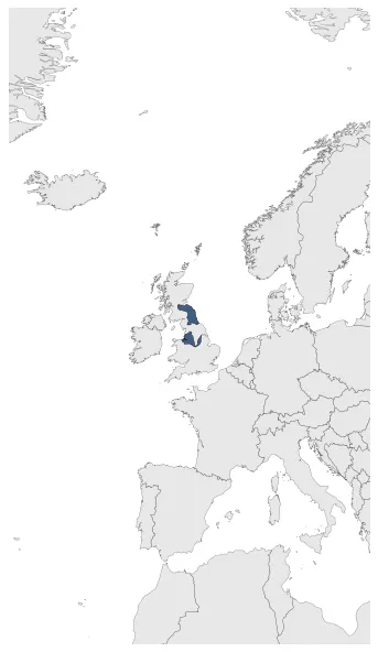 Maximum Extent