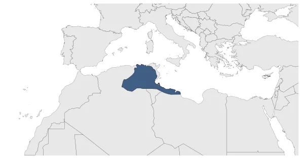 Maximum Extent