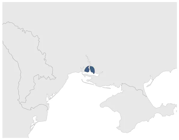 Maximum Extent