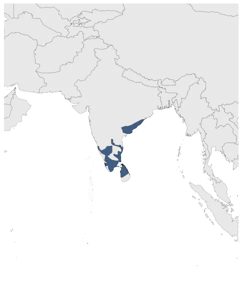 Pandya Kingdom: Maximal extension of the polity
