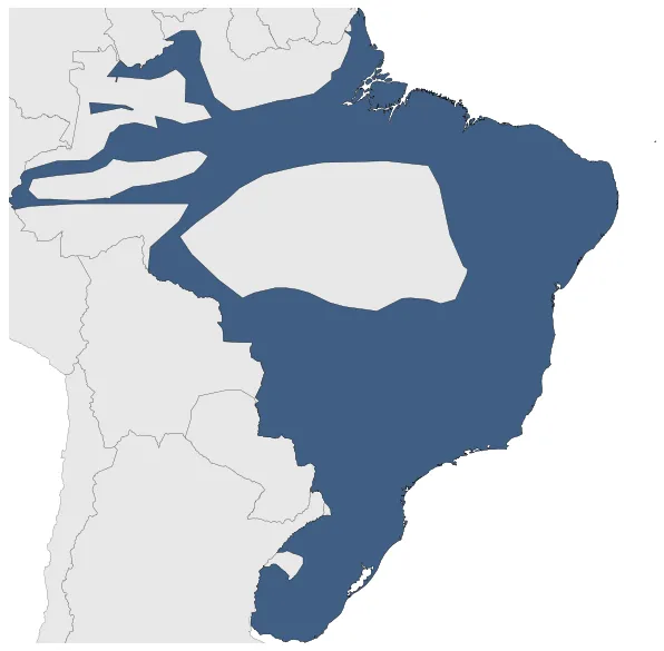 Maximum Extent