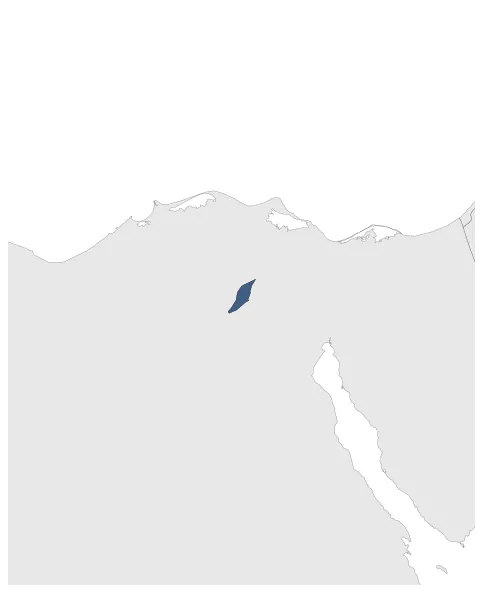 Maximum Extent