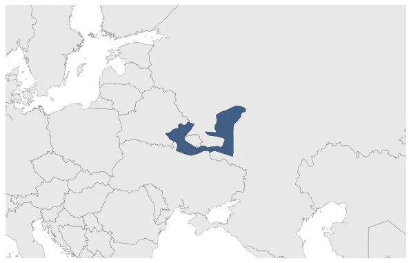 Maximum Extent