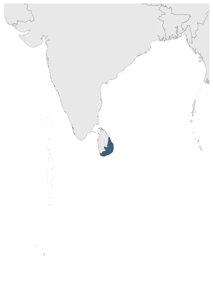Maximum Extent