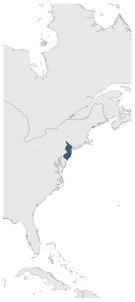 Maximum Extent
