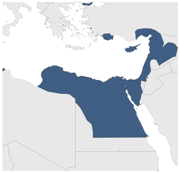 Maximum Extent