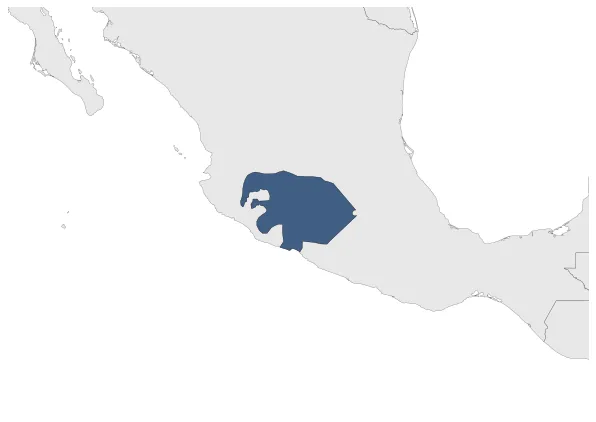 Maximum Extent