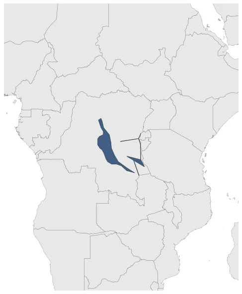 Maximum Extent