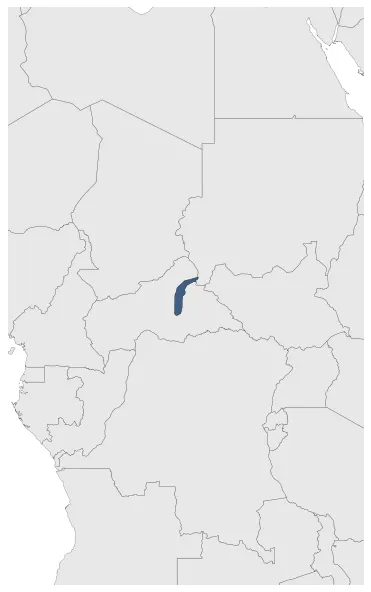 Maximum Extent