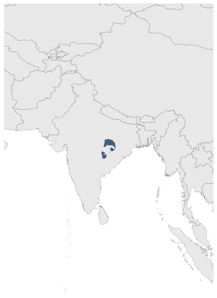 Rajarsitulyakula Dynasty: Maximal extension of the polity