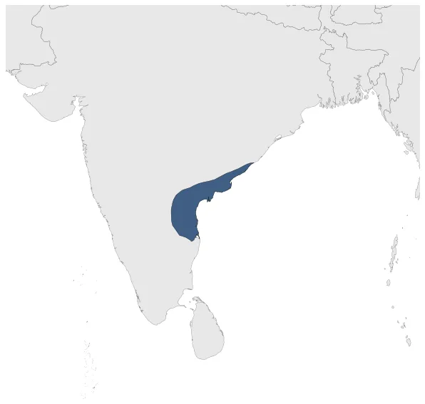 Reddi Kingdom: Maximal extension of the polity