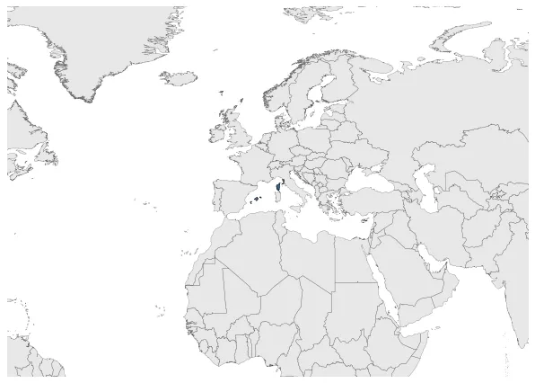 Maximum Extent