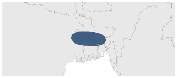 Maximum Extent