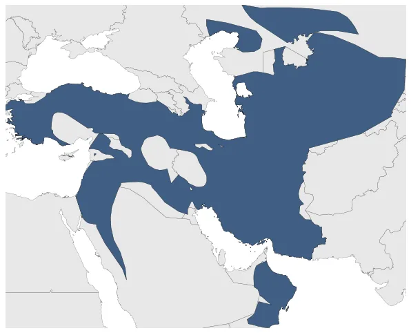 Maximum Extent