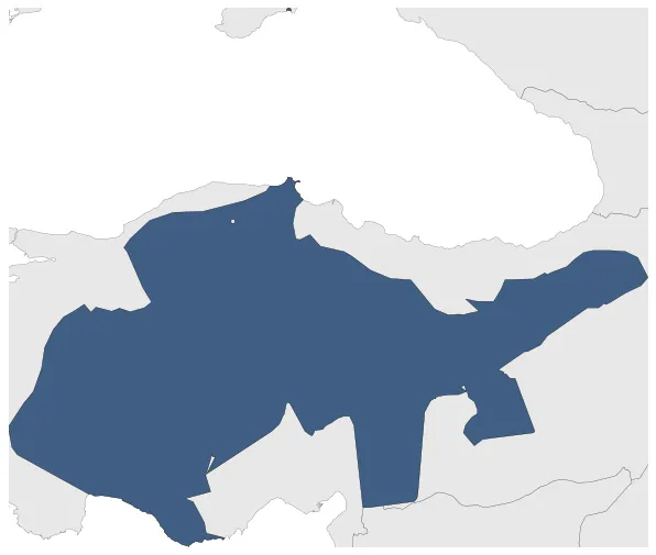 Maximum Extent