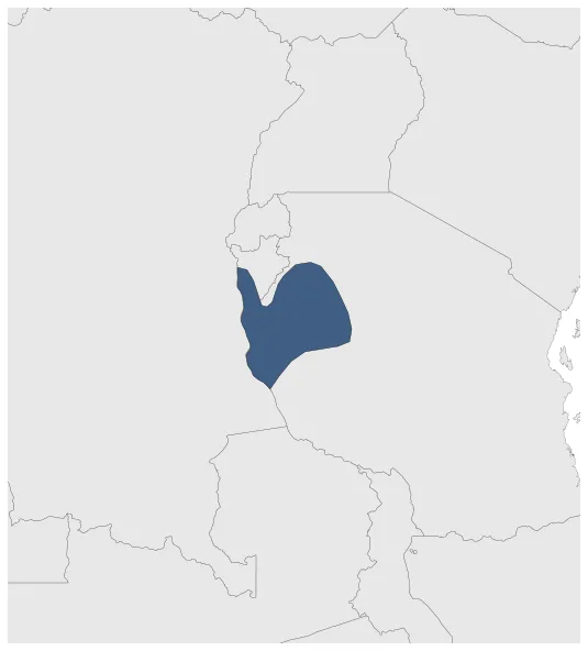 Maximum Extent