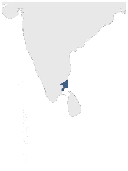 Maximum Extent