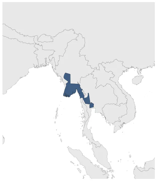 Maximum Extent