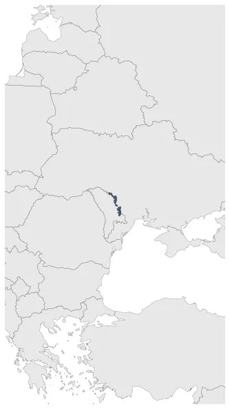 Maximum Extent