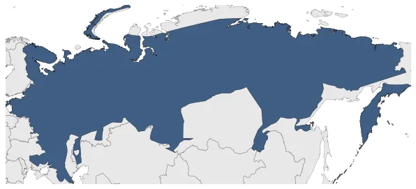 Maximum Extent