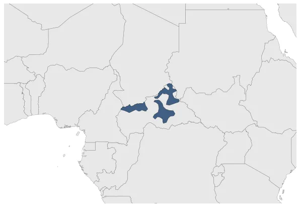 Maximum Extent