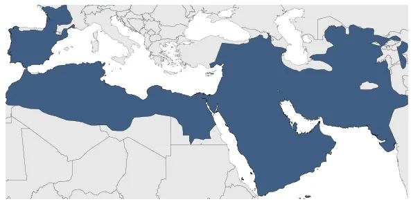 Umayyad Caliphate: Maximal extension of the polity