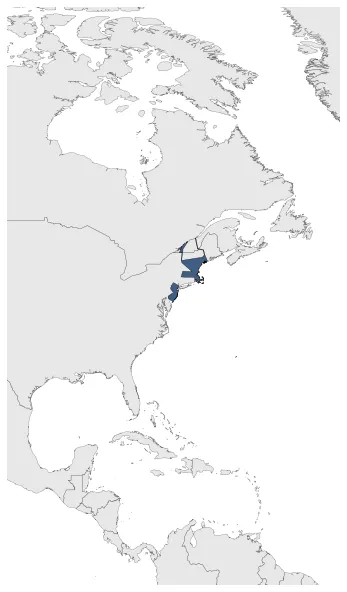 Maximum Extent