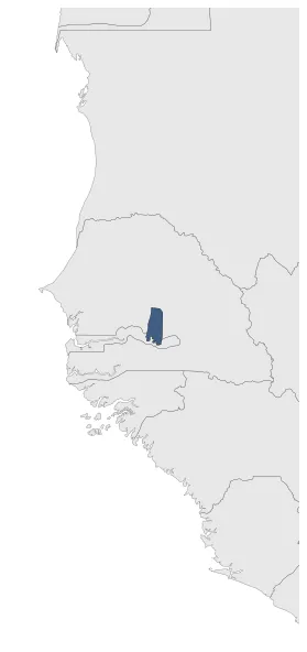 Maximum Extent