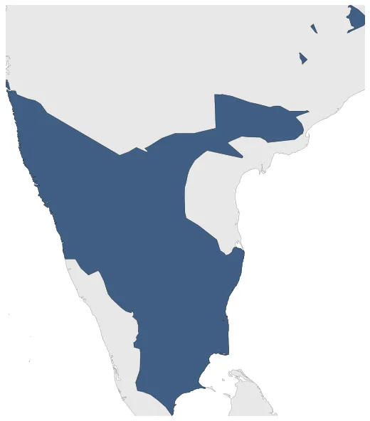 Vijayanagara Empire: Maximal extension of the polity
