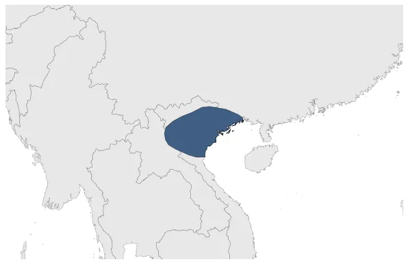 Maximum Extent