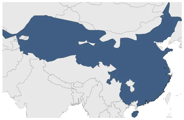 Maximum Extent