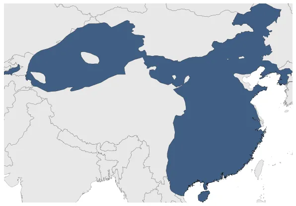 Maximum Extent