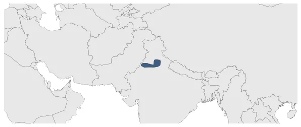 Maximum Extent
