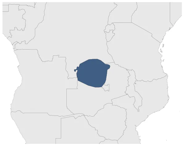 Maximum Extent
