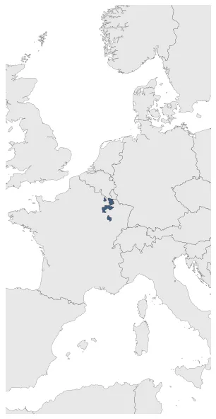 Maximum Extent Map
