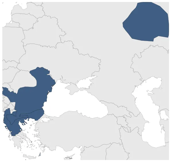 Maximum Extent