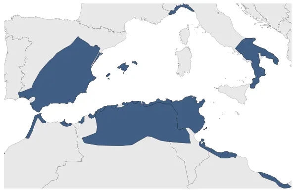 Maximum Extent Map