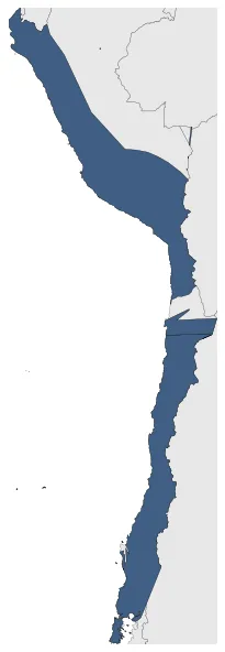 Maximum Extent Map