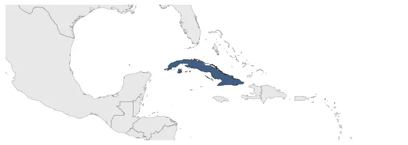 Maximum Extent Map