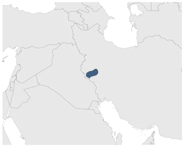 Maximum Extent
