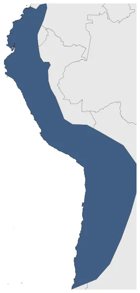 Maximum Extent