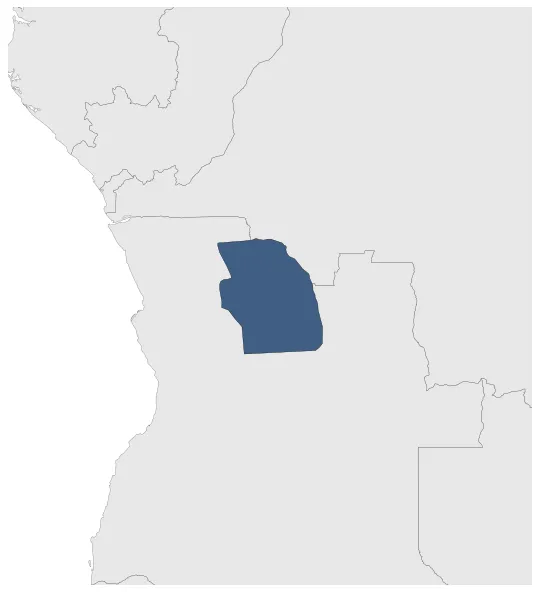 Maximum Extent Map